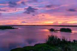 Linda Vista With Bay Views And Amazing Sunsets - Image 4