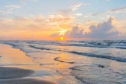 Sea Of Tranquility - Image 4